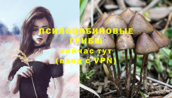 2c-b Белоозёрский
