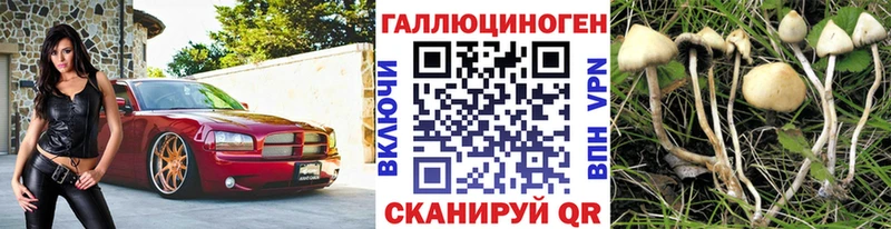 Галлюциногенные грибы Cubensis  Купить где  Верхоянск 