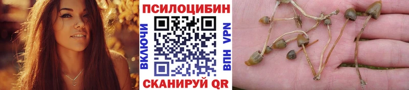 Галлюциногенные грибы мицелий Верхоянск